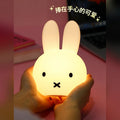 米菲 Miffy 米菲 VIPO 燈具小物商品圖