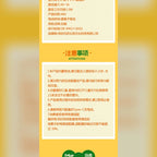 米菲 Miffy MarTUBE CCD 數位相機 商品圖 14